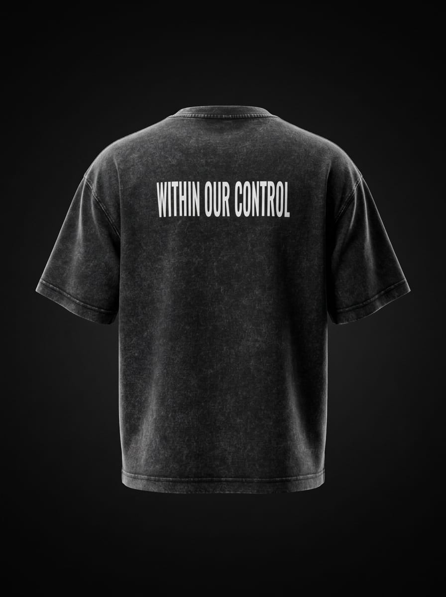 "Within Our Control" Vintage Washed Boxy Tee — Back